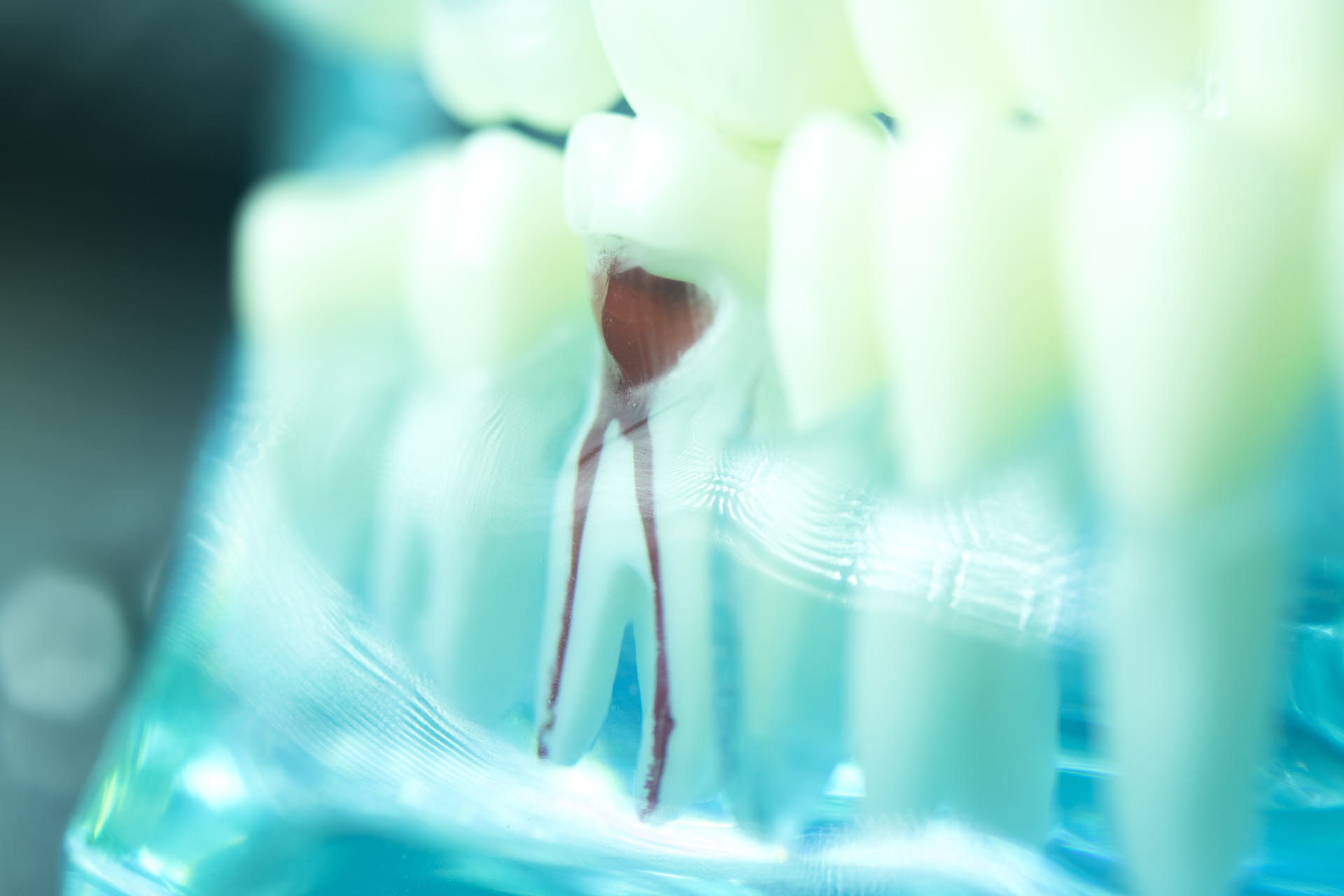 Adobestock 177193638 Adobestock 177193638
